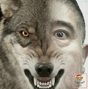 Meet your Posher, Carlos